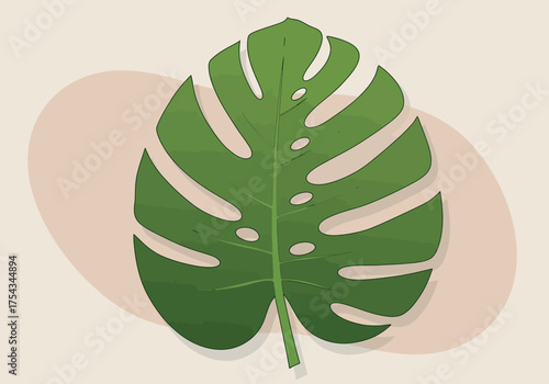 Illustrated Monstera Leaf with Fenestrations and Deep Green Hue.
