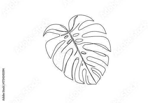 Line Art Illustration of a Monstera Leaf with Fenestrations.