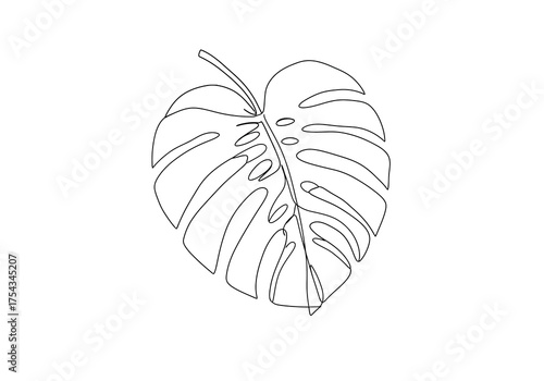 Elegant Monstera Leaf Outline Illustration on White Background.