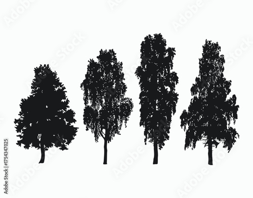 Poplar Tree Silhouette Collection EPS Vector Illustration