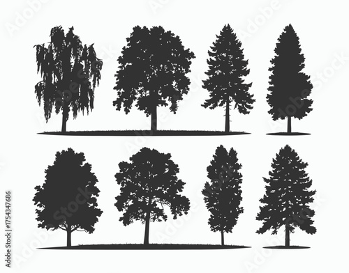 Poplar Tree Silhouette EPS Vector Template on a White Background