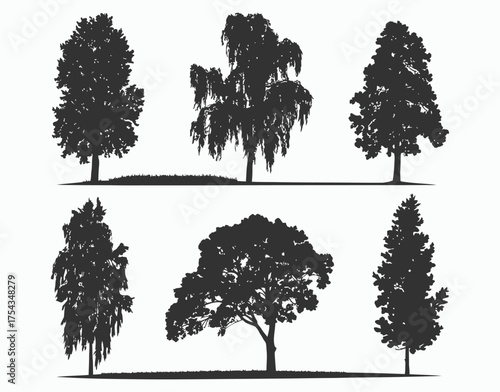 Simple Poplar Tree Silhouette Collection Vector Template
