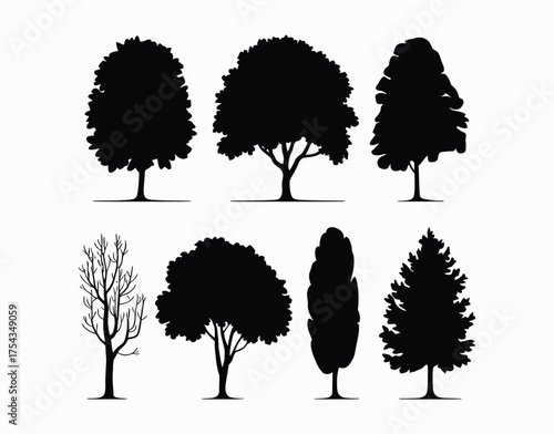 Simple Poplar Tree Silhouette Collection on White Background