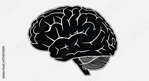 Vector illustration of a black silhouette of a human brain, showing intricate details of the cerebrum and cerebellum, isolated on a light gray background
