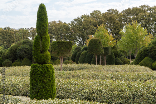 Public landscaped city park of Galytskyi is bathed in sunlight. Intricate spirals, cones, and geometric shapes carved from yew (Taxus baccata) stand out against backdrop of lush greenery and trees