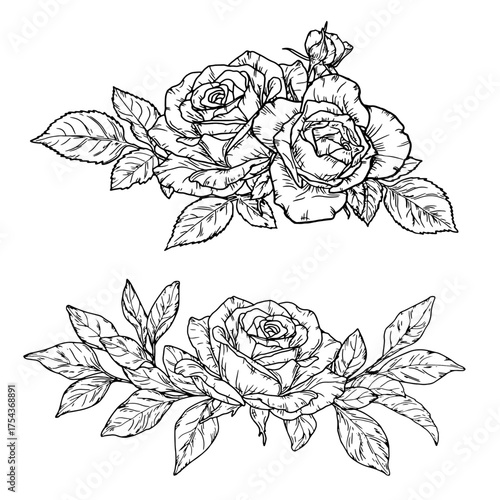 Bouquet of roses with buds and petals, black and white sketch. Vector illustration. A set of silhouettes isolated on a white background. Bouquets of elegant garden flowers, lush foliage