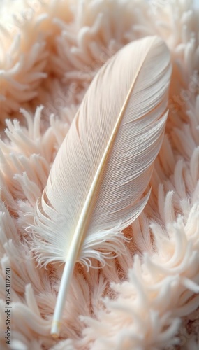 Delicate Downy Feather on Plush Surface Innocence, Fragility, New Beginnings