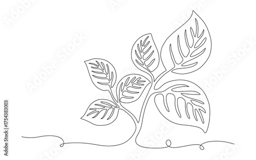 leaf line art