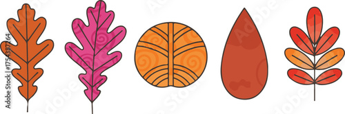 vStylized Autumn Leaf Icon Set – Colorful Vector Illustrations of Unique Leaf Shapes in Orange, Pink, and Red for Seasonal Graphics and Nature-Themed Designs