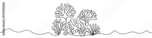  Coral icon. Continuous one line drawing of coral. Coral in one line style, isolated on white background. Vector illustration.
