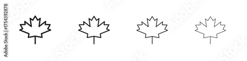 Maple leaf icon set in line style. symbol in outline style