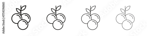 Blueberries icon set in line style. symbol in outline style