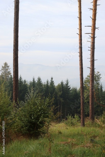 cloudy and inversion in the valley.