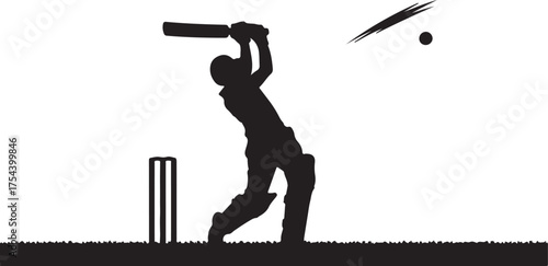 Sport Silhouette - Cricket Batsman smash bat for boundary 
