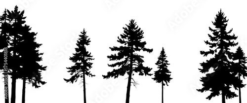 silhouetted evergreen trees against a transparent background, creating a minimalist nature scene