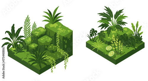 Isometric tropical garden landscape with greenery and foliage elements