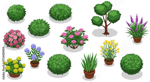 Isometric garden plants and flowers collection for landscaping design