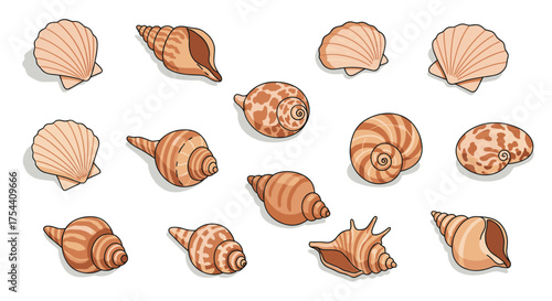 Colorful collection of ocean shells isometric design for beach-themed projects