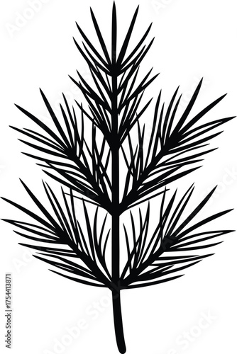 Pine branch silhouette Black silhouette of a pine branch with detailed needles 1