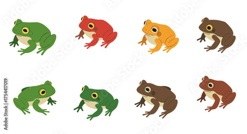 Colorful frog collection: green, red, orange, brown amphibians in flat design