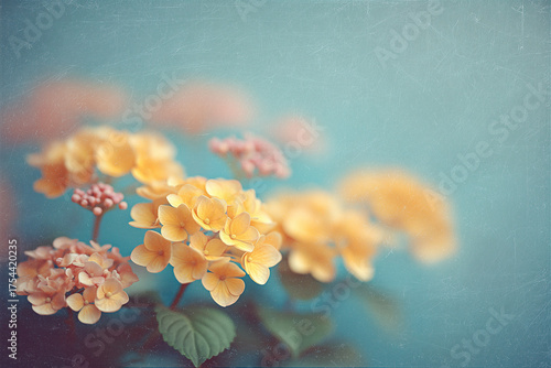 Close-Up of Yellow Hydrangea Flowers with Soft Pastel Tones on Blue Background