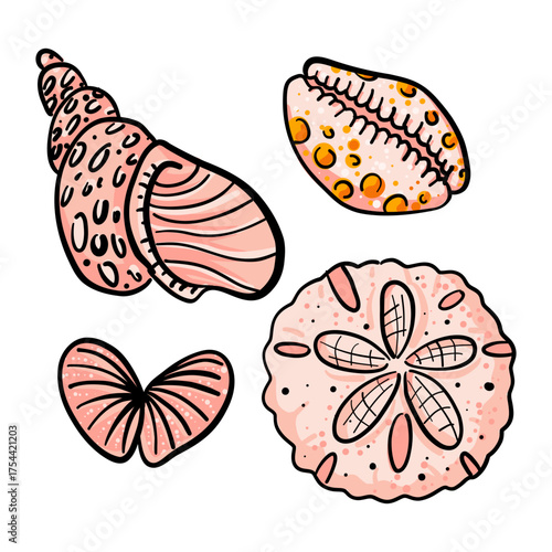 set of pink seashells in different shapes and sizes. flat, colorful illustration. Suitable for summer designs, beach-themed projects, packaging, decor, and educational materials.