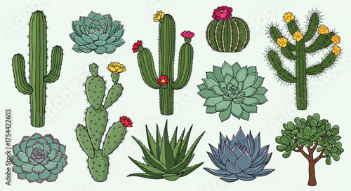 Collection of various cacti and succulents, showcasing the diversity of desert flora in a vibrant and colorful display