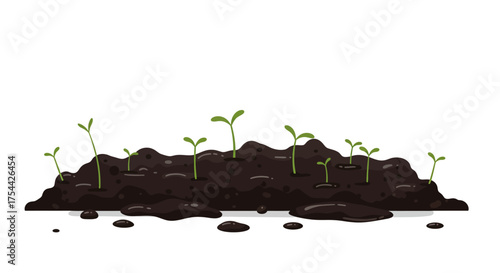 Young Sprouts Growing from Rich Soil.