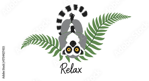 A playful lemur hanging upside down surrounded by lush green fern leaves and the word relax.