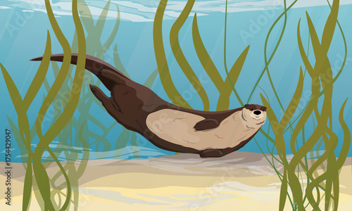 River otter swim in the water between long green algae. Eurasian otter Lutra lutra, The Eurasian river otter. Wild semiaquatic mammal of Eurasia. Realistic vector animal