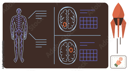 Human body and brain diagrams with highlighted regions, data grids, rocket design, and touch icon. Ideal for medical research, neurology, innovation, technology education and diagnostics. Simple