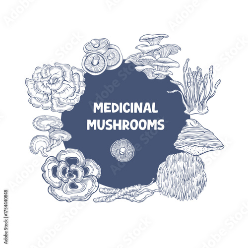Vector illustration with functional and medicinal mushrooms in engraving style