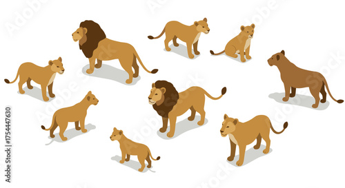 Isometric lion family: cartoon-style group of lions and cubs in various poses
