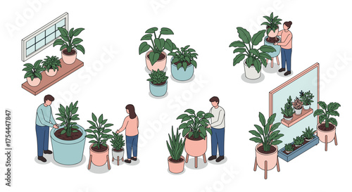 Indoor plant care and maintenance in isometric style