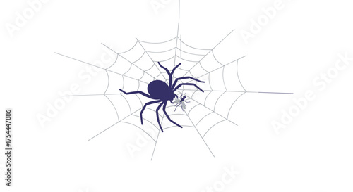 Spider on intricate web with prey in minimalist design