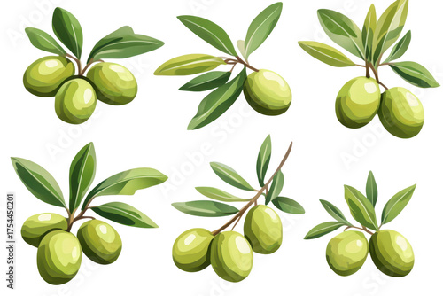 Wallpaper Mural Fresh green olives with leaves isolated on transparent background. Green olives with leaves isolated on white background. Torontodigital.ca