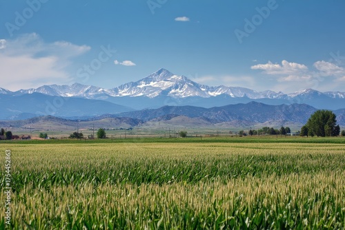 Weld County Colorado. Longs Peak Corn Field - Spring view of front range and Long's Peak