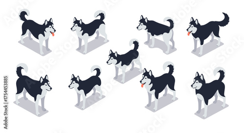 Isometric husky dogs set on white background