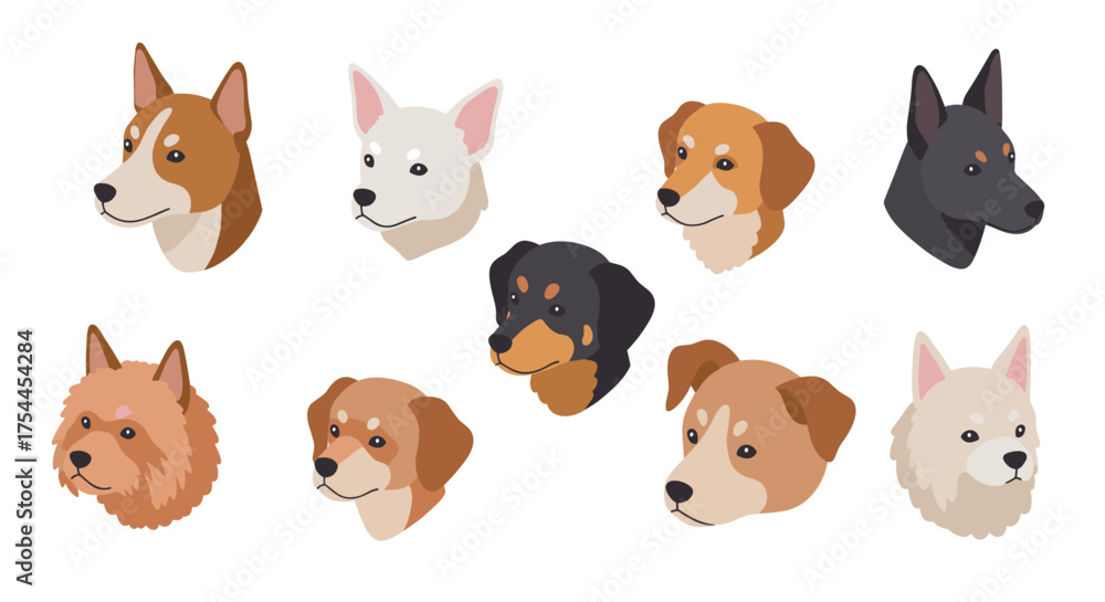 Obraz premium Flat style dog heads collection with various breeds on white background