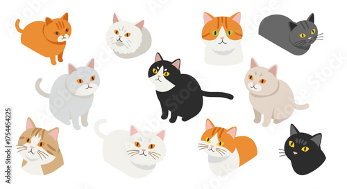 Charming cats collection in flat design style featuring various breeds and colors