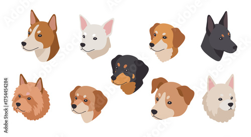 Flat style dog heads collection with various breeds on white background