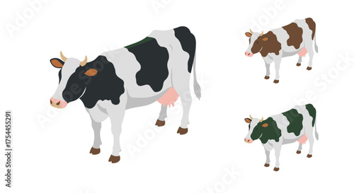 Flat graphic set of dairy cows with different coat patterns and color variations