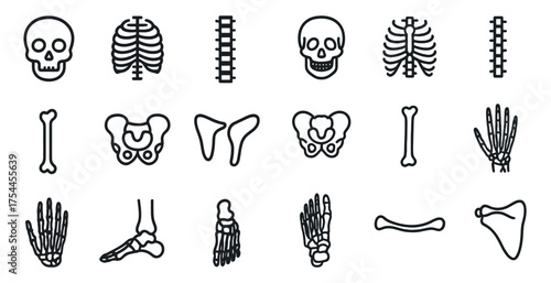 Anatomy and skeleton outline icons set – linear, line, medical and biological symbols