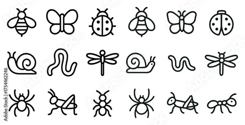Insect and bug outline icons set – linear, silhouette, detailed nature symbols