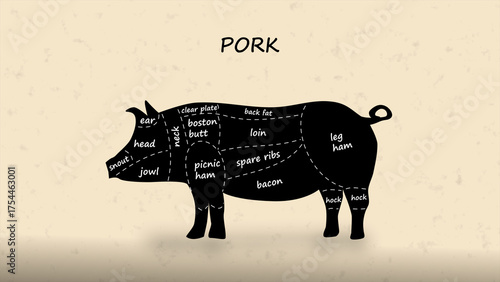 Detailed butcher diagram of pig showing all pork cuts and sections. Ideal for culinary guides, cooking, meat preparation, educational charts, and illustrations