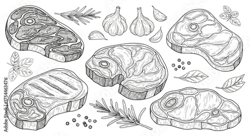 Hand-drawn collection of raw and grilled beef steaks, fresh garlic, and rosemary sprigs for cooking and barbecue preparation