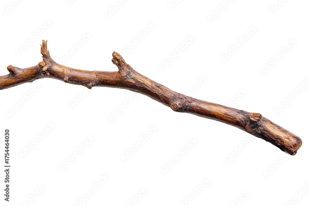Fototapeta premium A weathered wooden staff with a knotty texture isolated on transparent background. Walking stick isolated on white background.