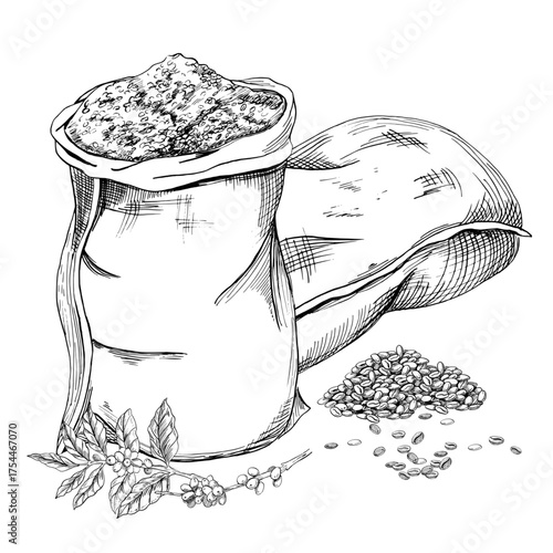Two bags of coffee and coffee tree branches. A realistic coffee-themed vector illustration for product design, apparel printing, posters, and interior design.