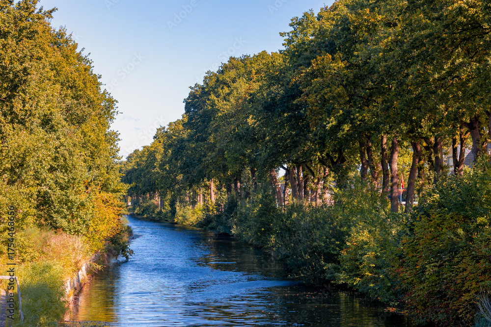 Fototapeta premium Oranjekanaal (Oranje Canal) with blue sky and colourful leaves on the tree in Autumn, Schoonoord is a small village in the Netherlands and it is part of the Coevorden municipality in Drenthe, Holland.