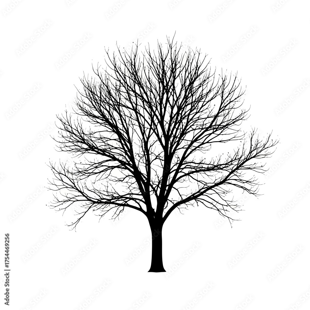 Obraz premium Silhouette of a tree against a white background